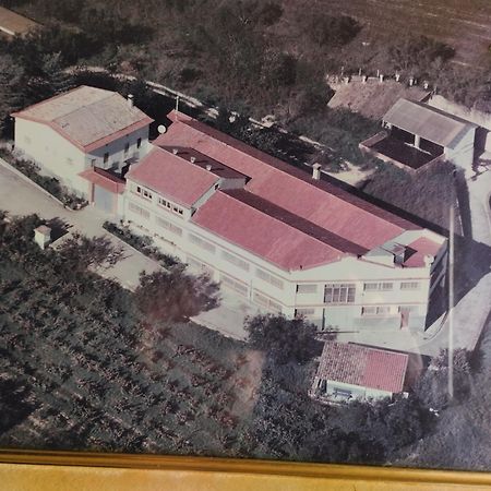 La Nursery De Mas Guillo San Quintín de Mediona Kültér fotó